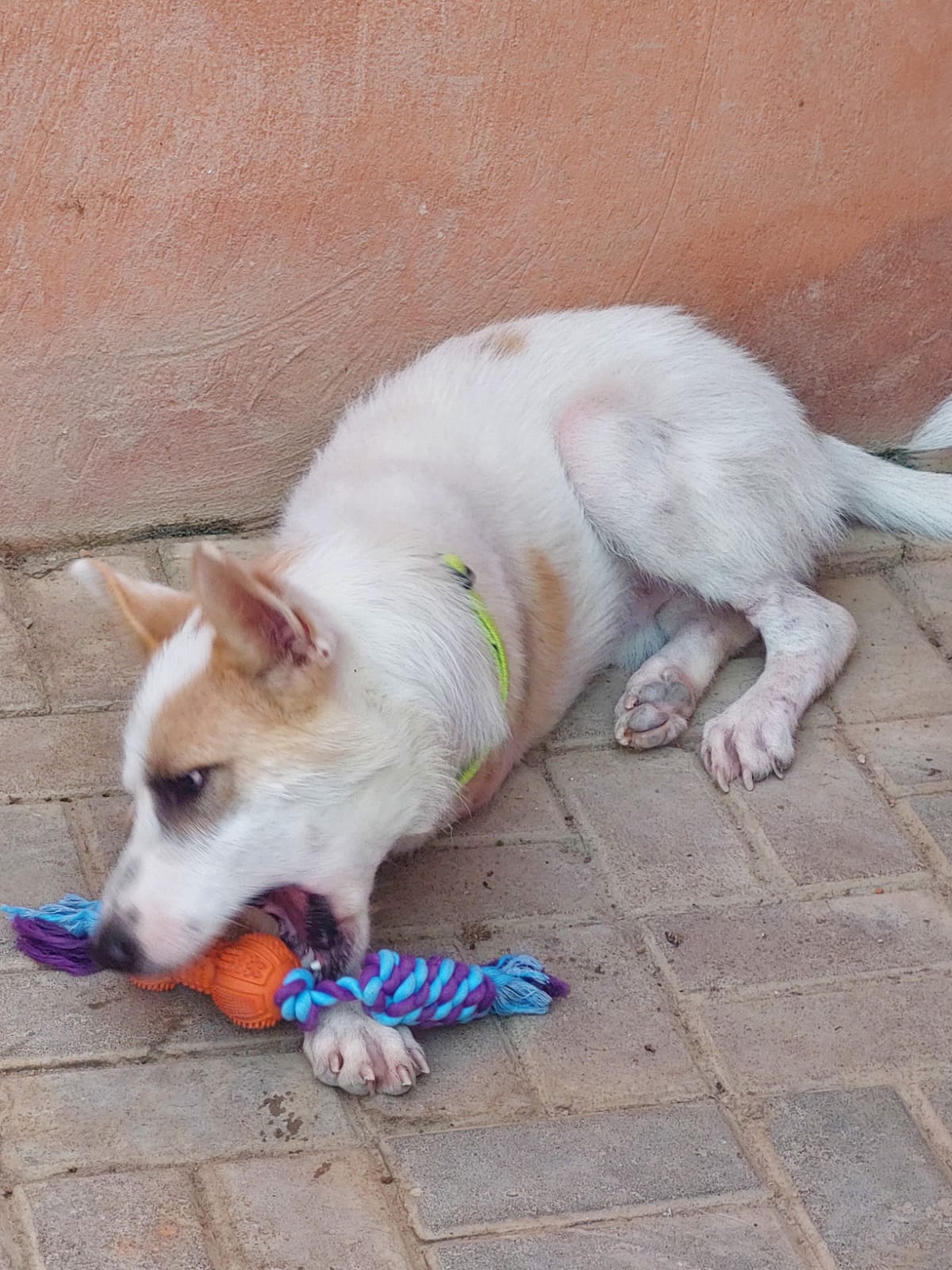 عزوز يلعب بدميته